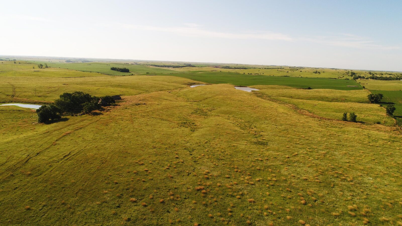 Greeley County, Nebraska land for sale