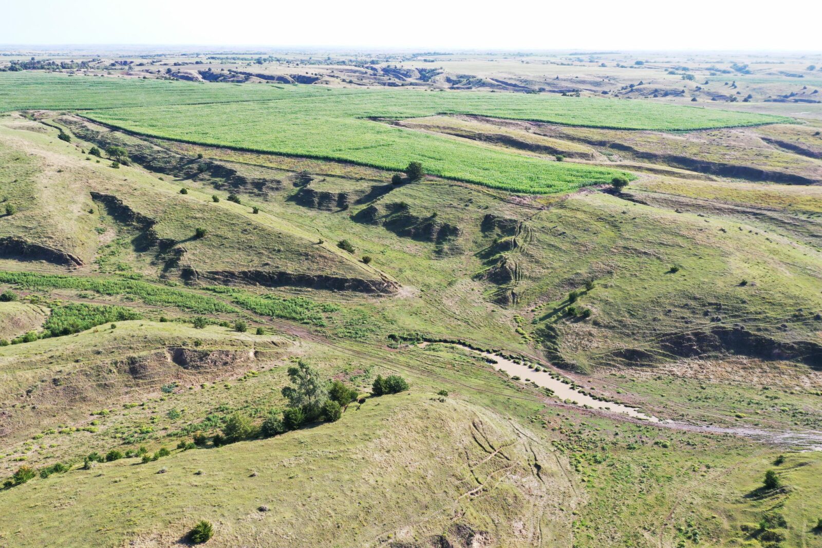 300 Acres, Frontier County Grass and Wildlife