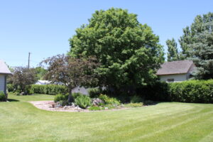 309 Loofborrow St., Rushville, NE