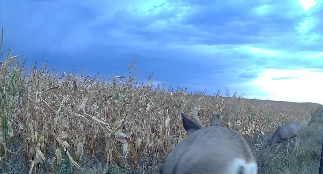 1,407 Acres, Elk Haven Grass and Dryland Farm Combo