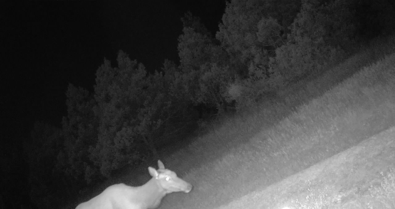 1,407 Acres, Elk Haven Grass and Dryland Farm Combo
