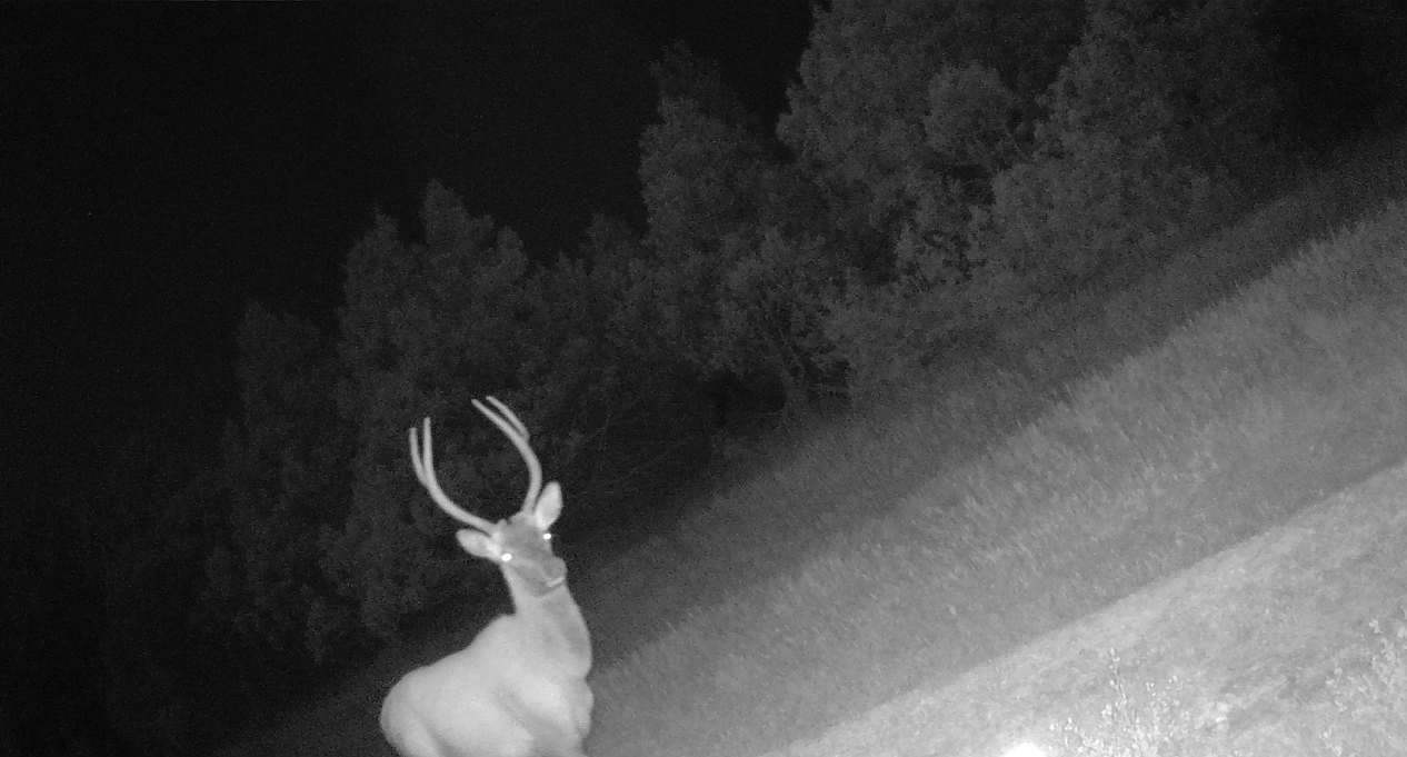 1,407 Acres, Elk Haven Grass and Dryland Farm Combo