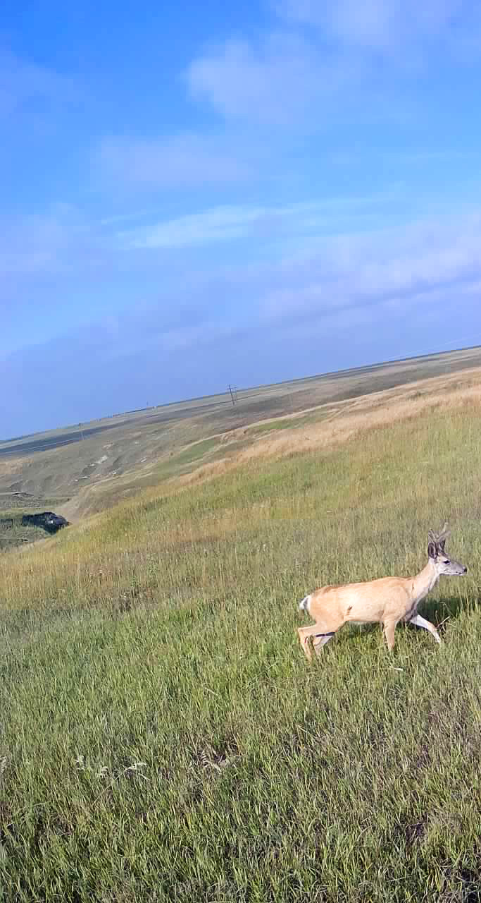 Chadron Nebraska hunting property for sale