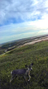 Chadron Nebraska hunting property for sale