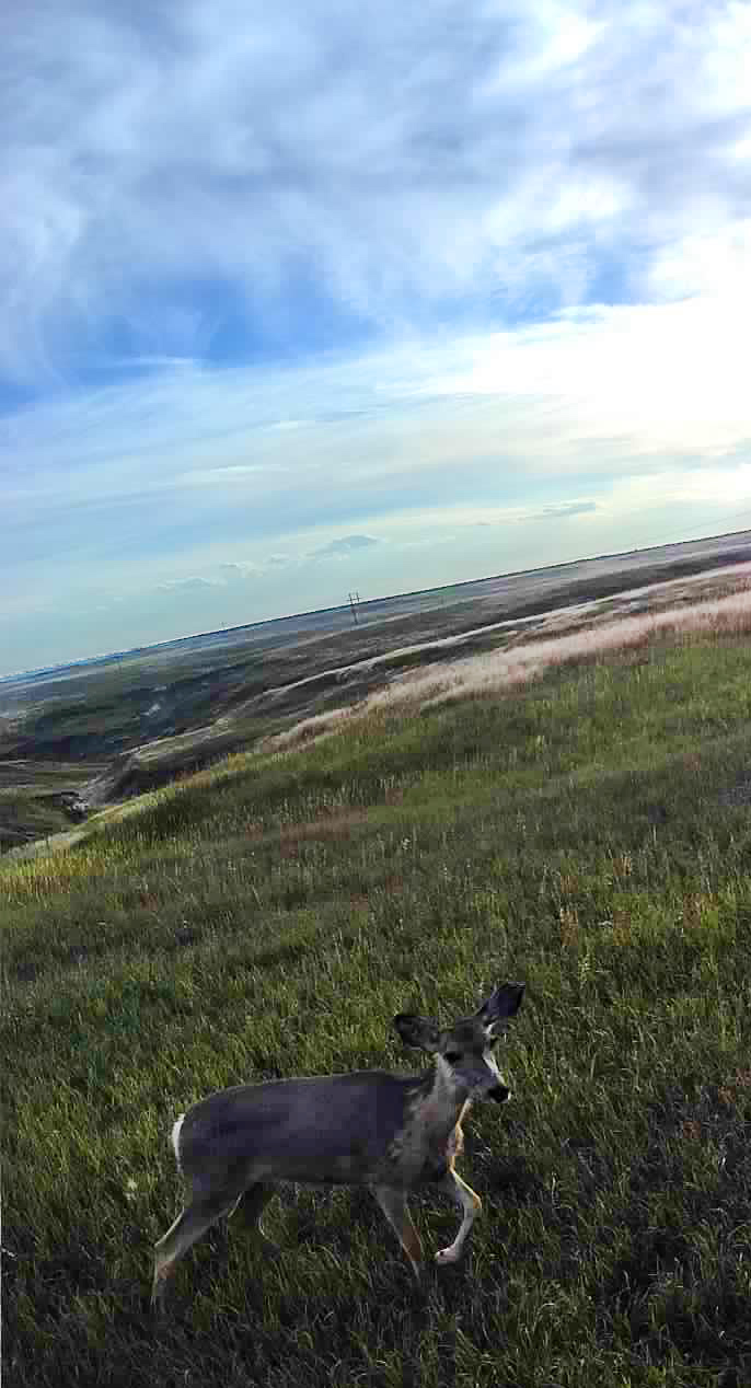 Chadron Nebraska hunting property for sale