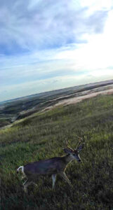 Chadron Nebraska hunting property for sale