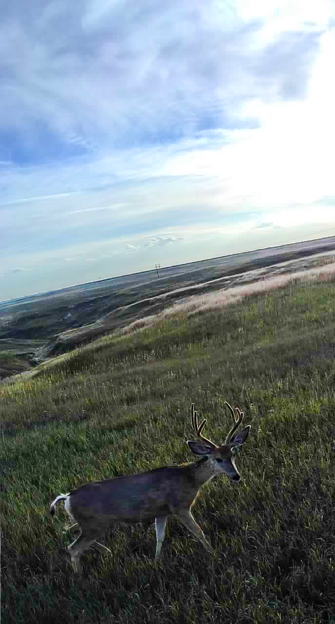 Chadron Nebraska hunting property for sale