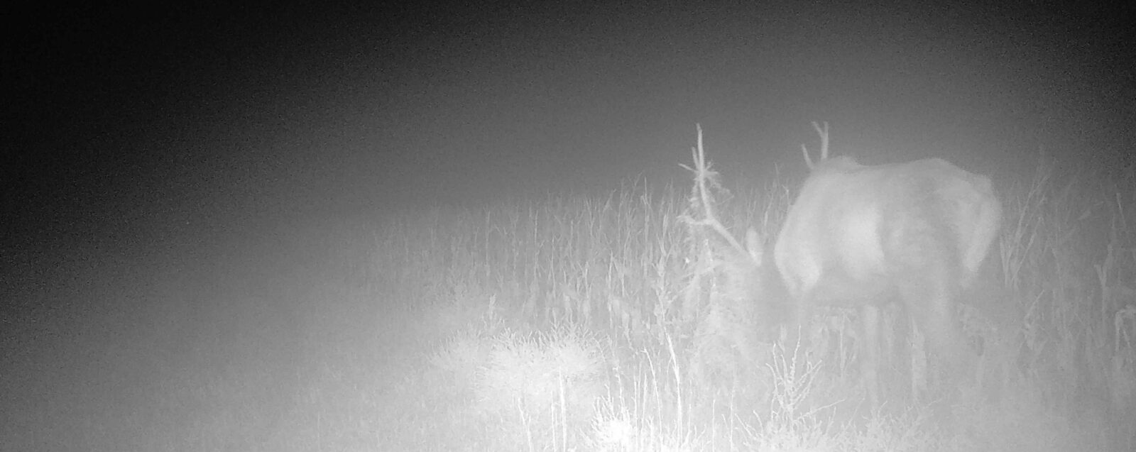 elk hunting land for sale Nebraska