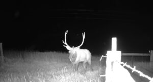 1,407 Acres, Elk Haven Grass and Dryland Farm Combo