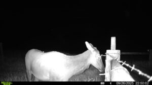 1,407 Acres, Elk Haven Grass and Dryland Farm Combo