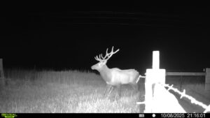 1,407 Acres, Elk Haven Grass and Dryland Farm Combo