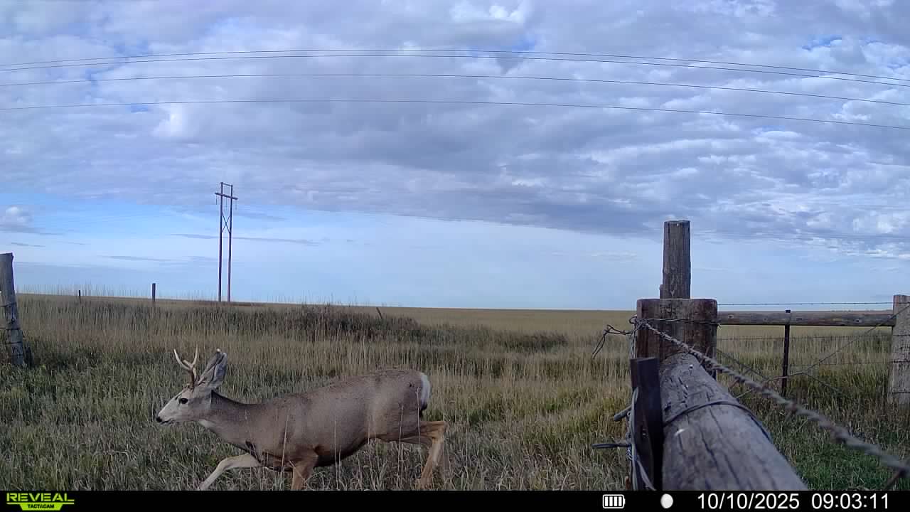 1,407 Acres, Elk Haven Grass and Dryland Farm Combo