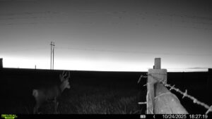 1,407 Acres, Elk Haven Grass and Dryland Farm Combo