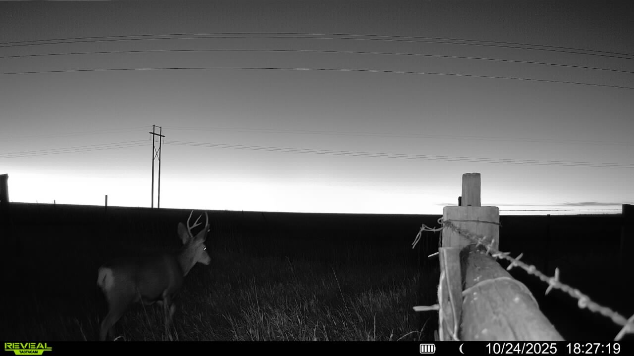 1,407 Acres, Elk Haven Grass and Dryland Farm Combo