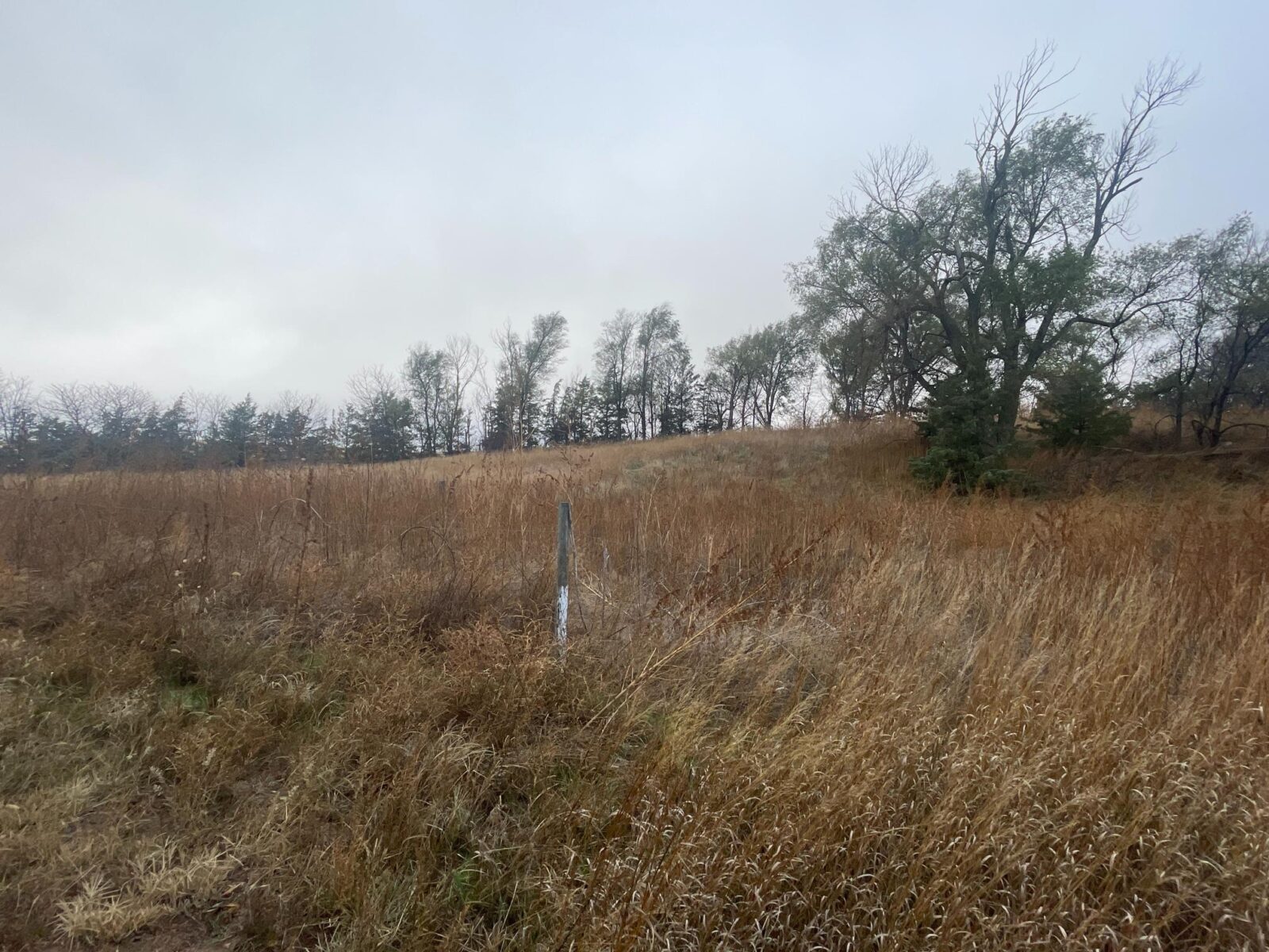 17824 Hunter Rd., North Platte, NE home and land for sale