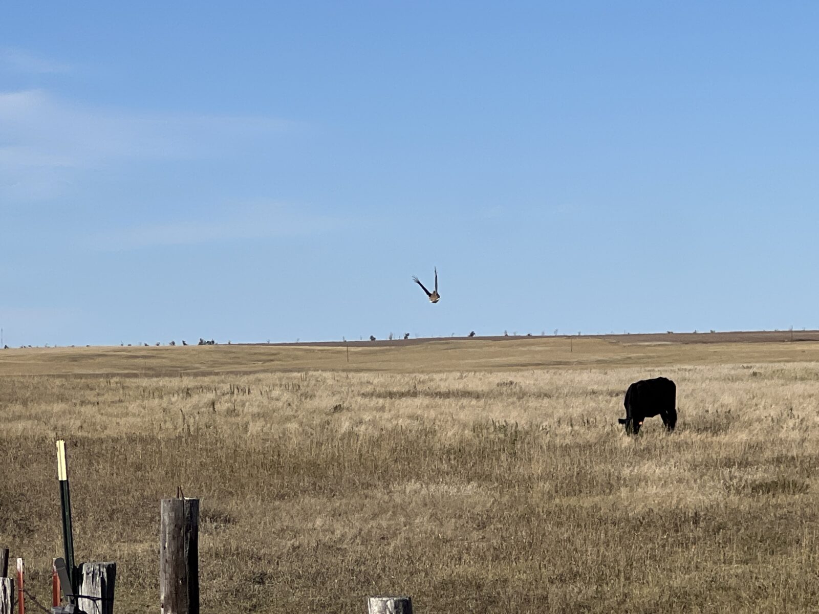 1,407 Acres, Elk Haven Grass and Dryland Farm Combo