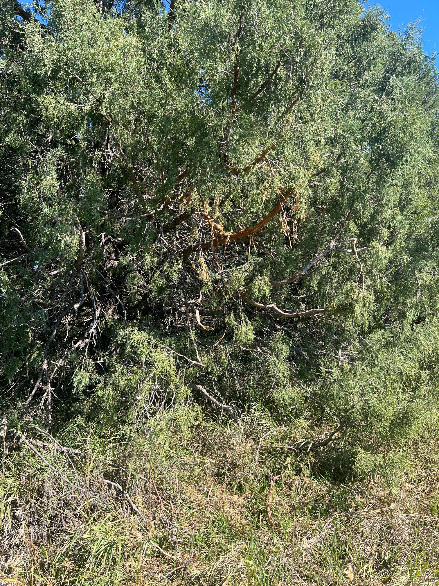Elk hunting land for sale Nebraska