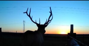 1,407 Acres, Elk Haven Grass and Dryland Farm Combo