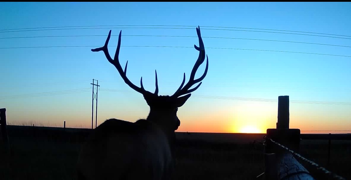 1,407 Acres, Elk Haven Grass and Dryland Farm Combo