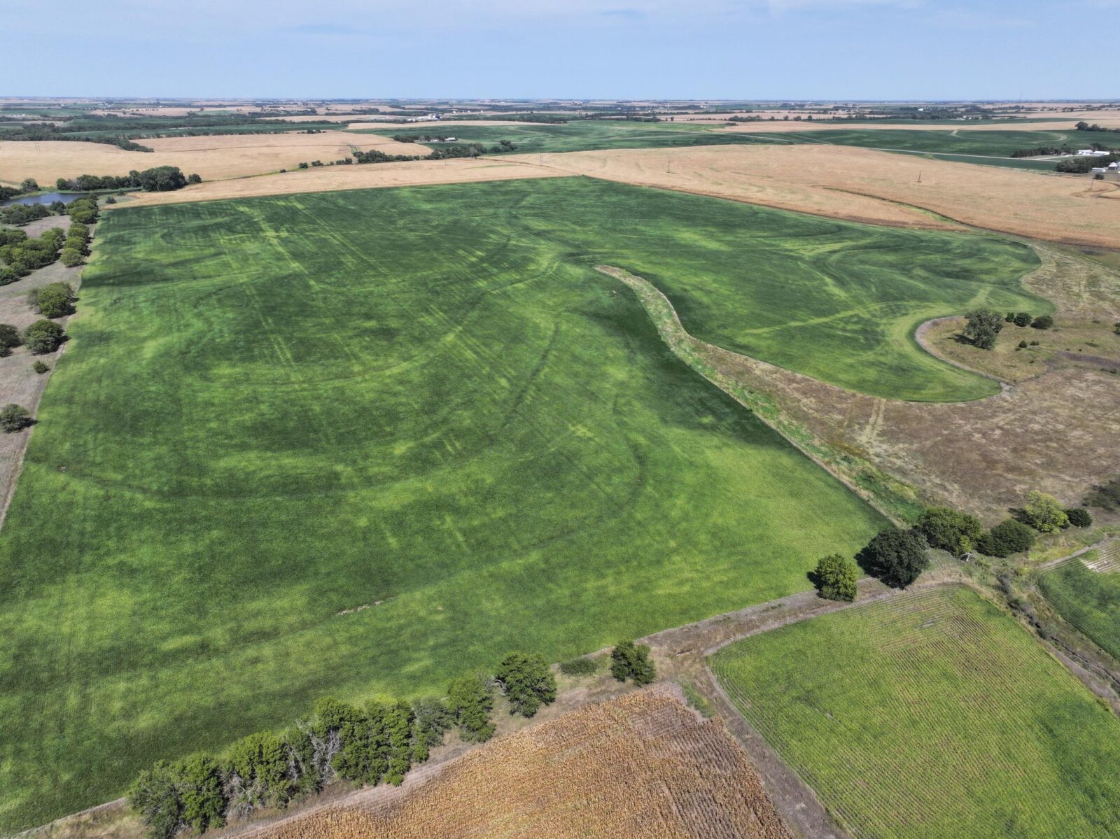 Gage county nebraska farm and ranch land for sale