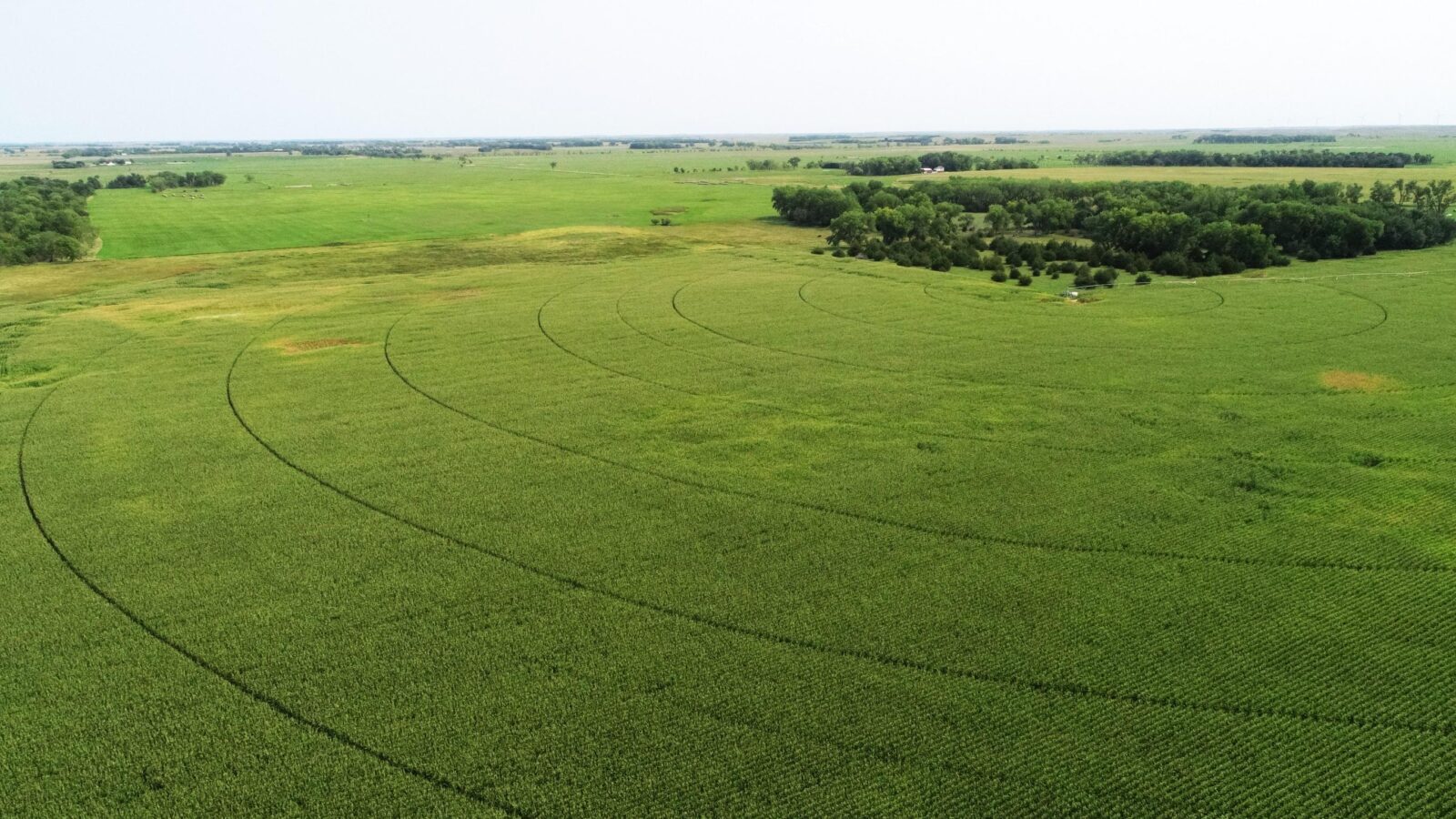 118 Acres, Brown County, Ainsworth Pivot Irrigated Farm