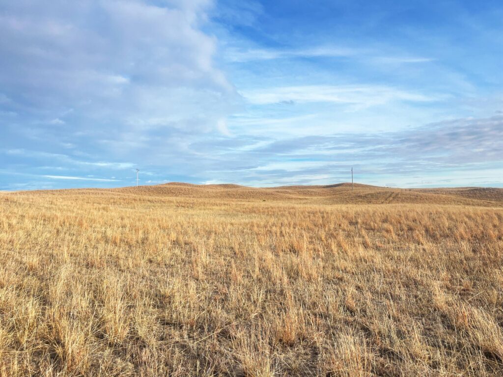 Nebraska Land for Sale  