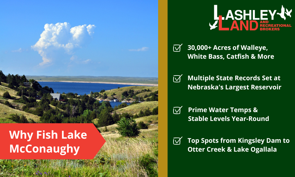 Lake McConaughy Fishing – A Premier Destination for Anglers and Landowners  