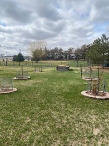 87318 Hwy 281 Oneill, nebraska home and acreage for sale