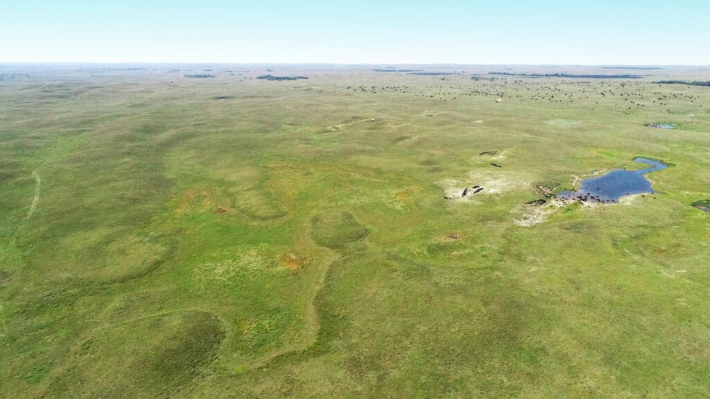 646 Acres, Brown County Section  