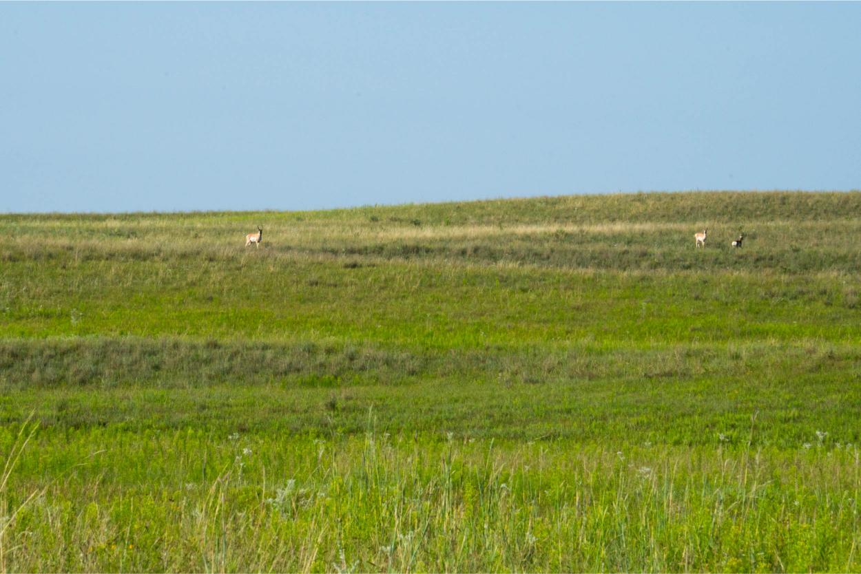 Nebraska sandhills ranch for sale Hyannis, NE