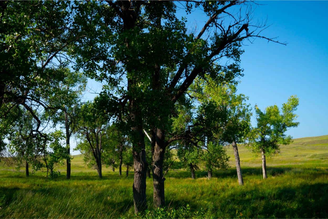 Nebraska sandhills ranch for sale Hyannis, NE