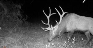 Lincoln County Nebraska pasture hunting land for sale
