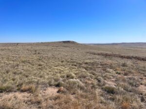 Potter, NE CRP grass land for sale