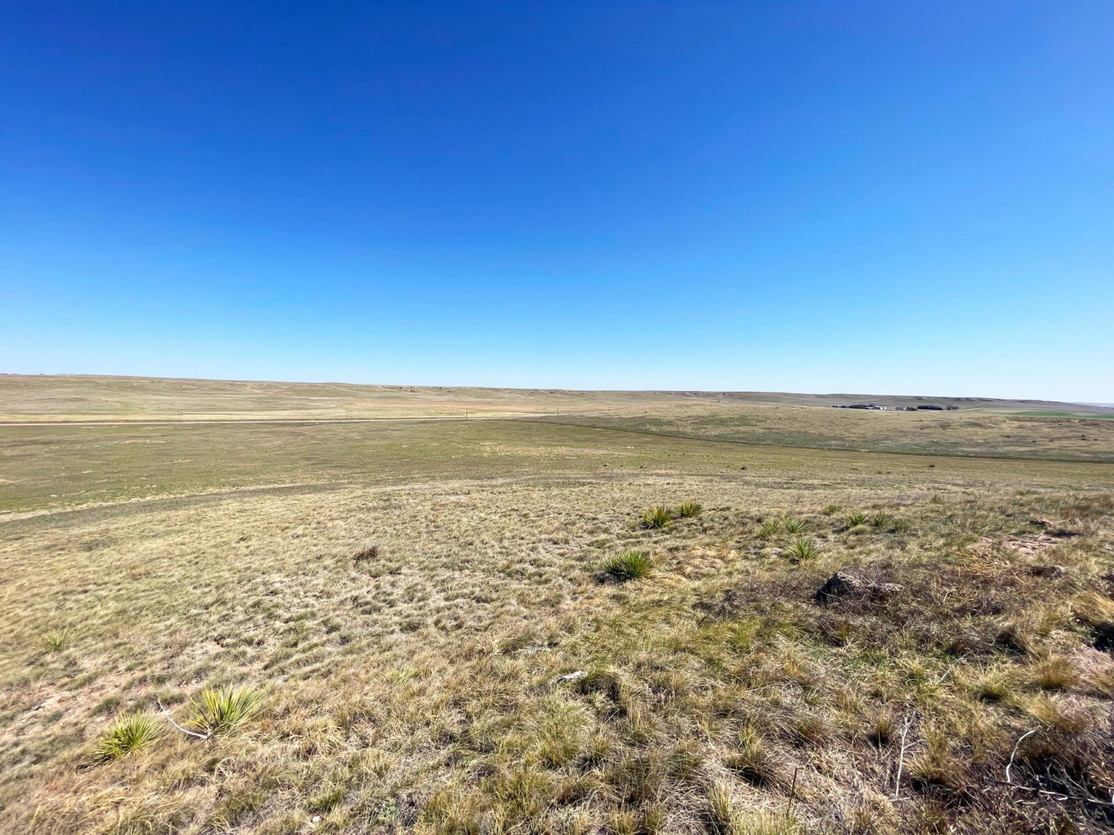 Potter, NE CRP grass land for sale