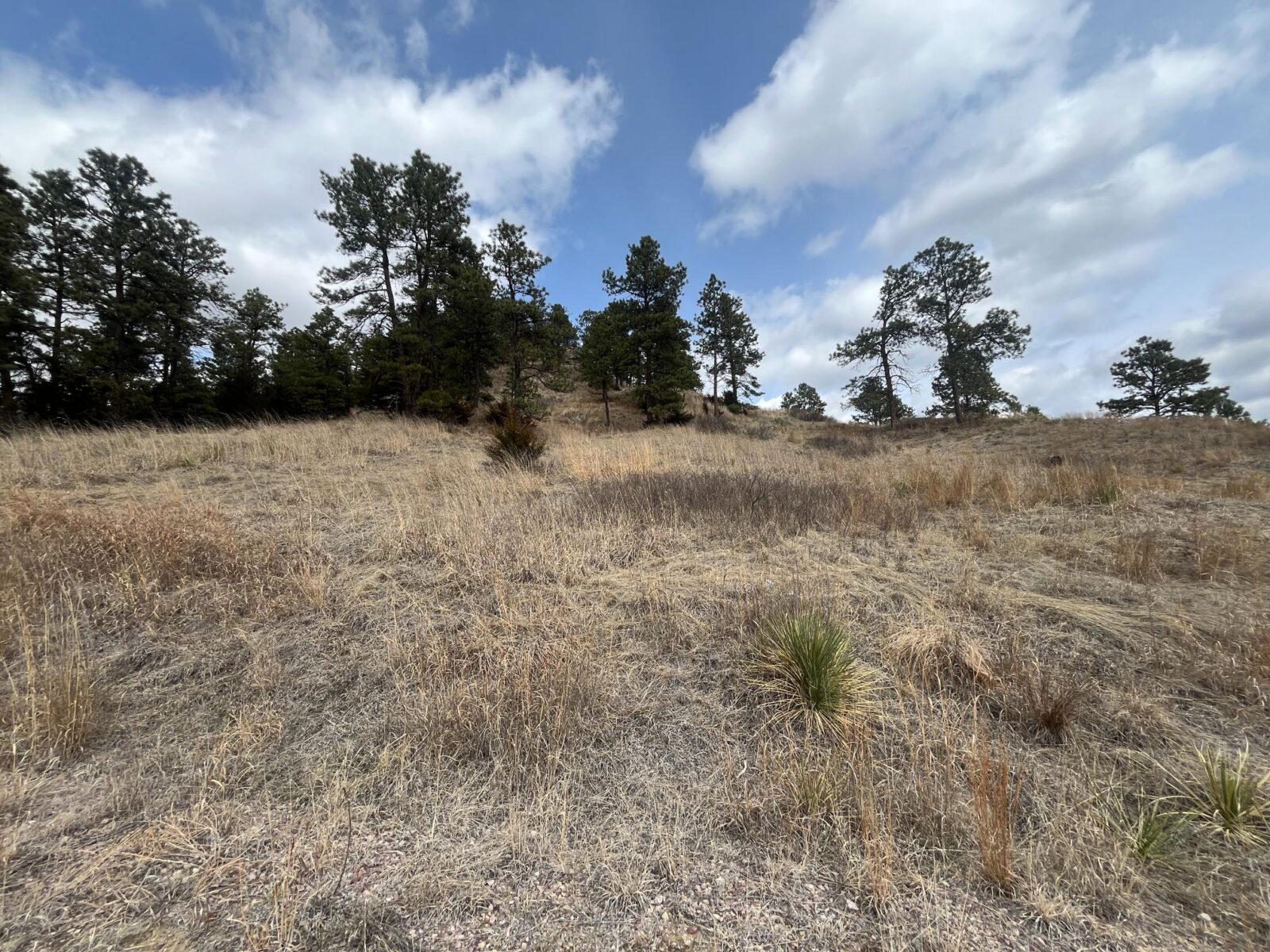 Vacant lot land for sale Valentine, NE