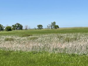Cherry County Nebraska cattle ranch for sale Sandhills