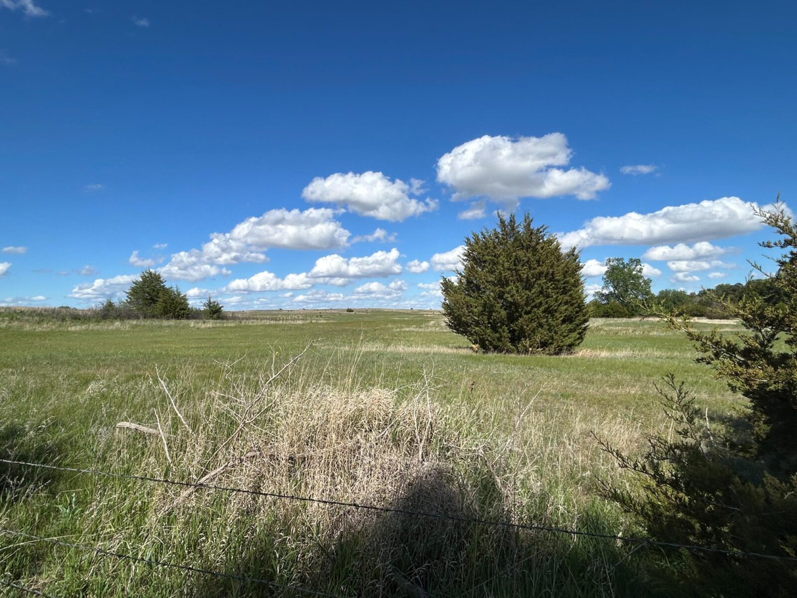 87480 State Hwy 7 acreage with home for sale Ainsworth, NE