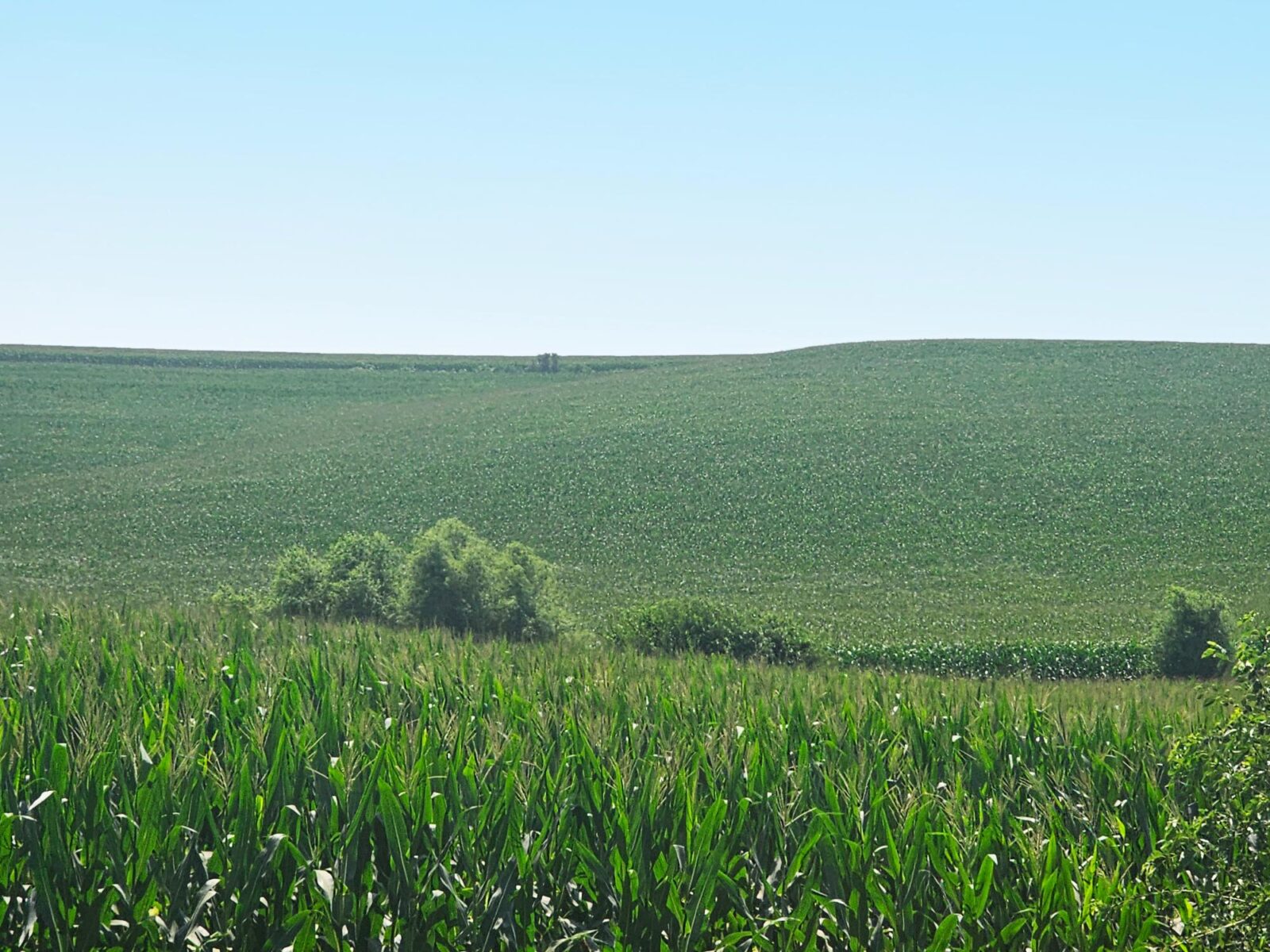 Burt County, Nebraska farm land for sale