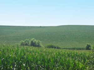 Burt County, Nebraska farm land for sale