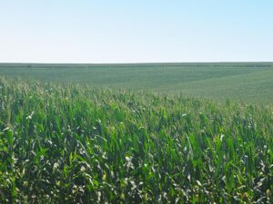 Burt County, Nebraska farm land for sale