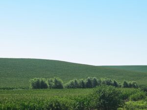 Burt County, Nebraska farm land for sale
