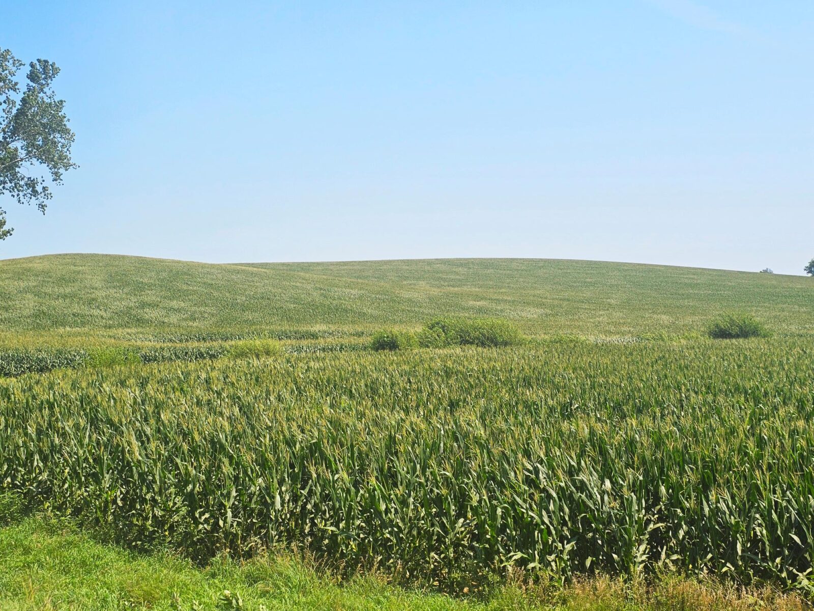 Burt County, Nebraska farm land for sale