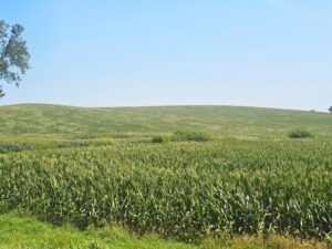 Burt County, Nebraska farm land for sale