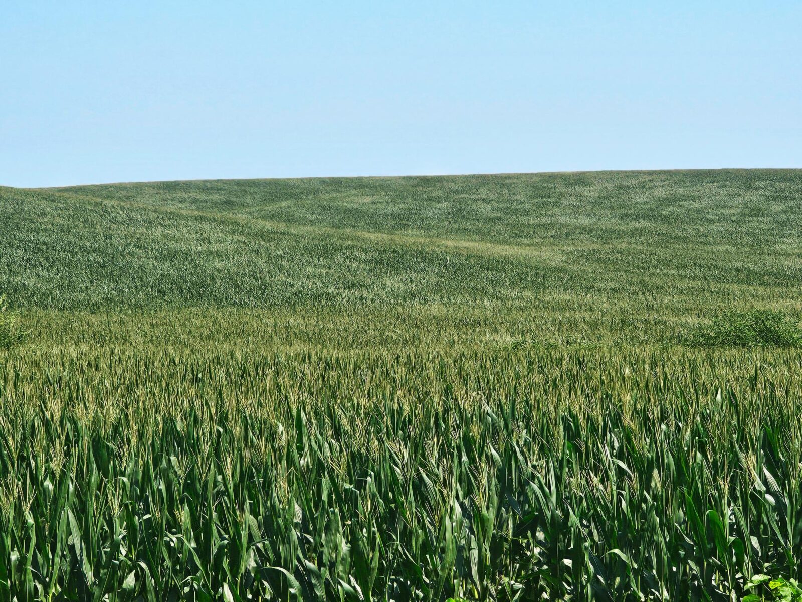 Burt County, Nebraska farm land for sale