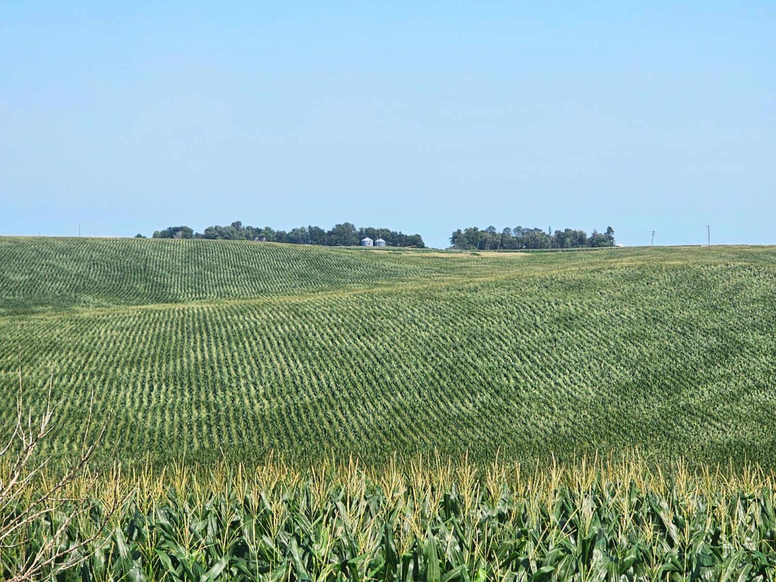 Burt County, Nebraska farm land for sale