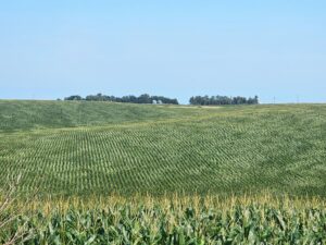 Burt County, Nebraska farm land for sale