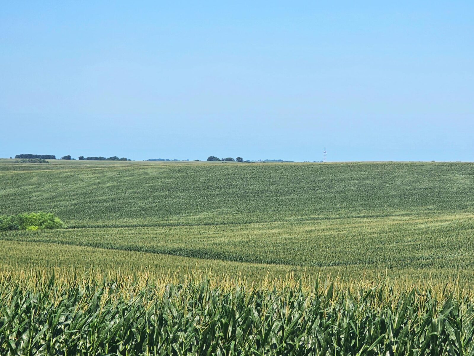 Burt County, Nebraska farm land for sale