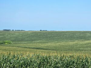 Burt County, Nebraska farm land for sale