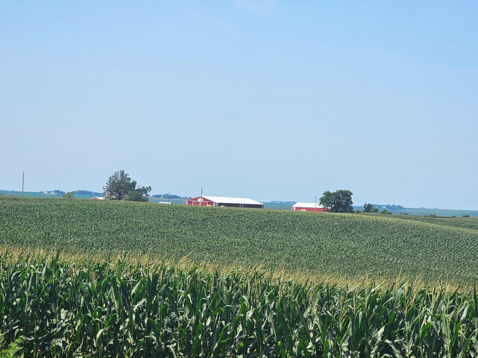 Burt County, Nebraska farm land for sale