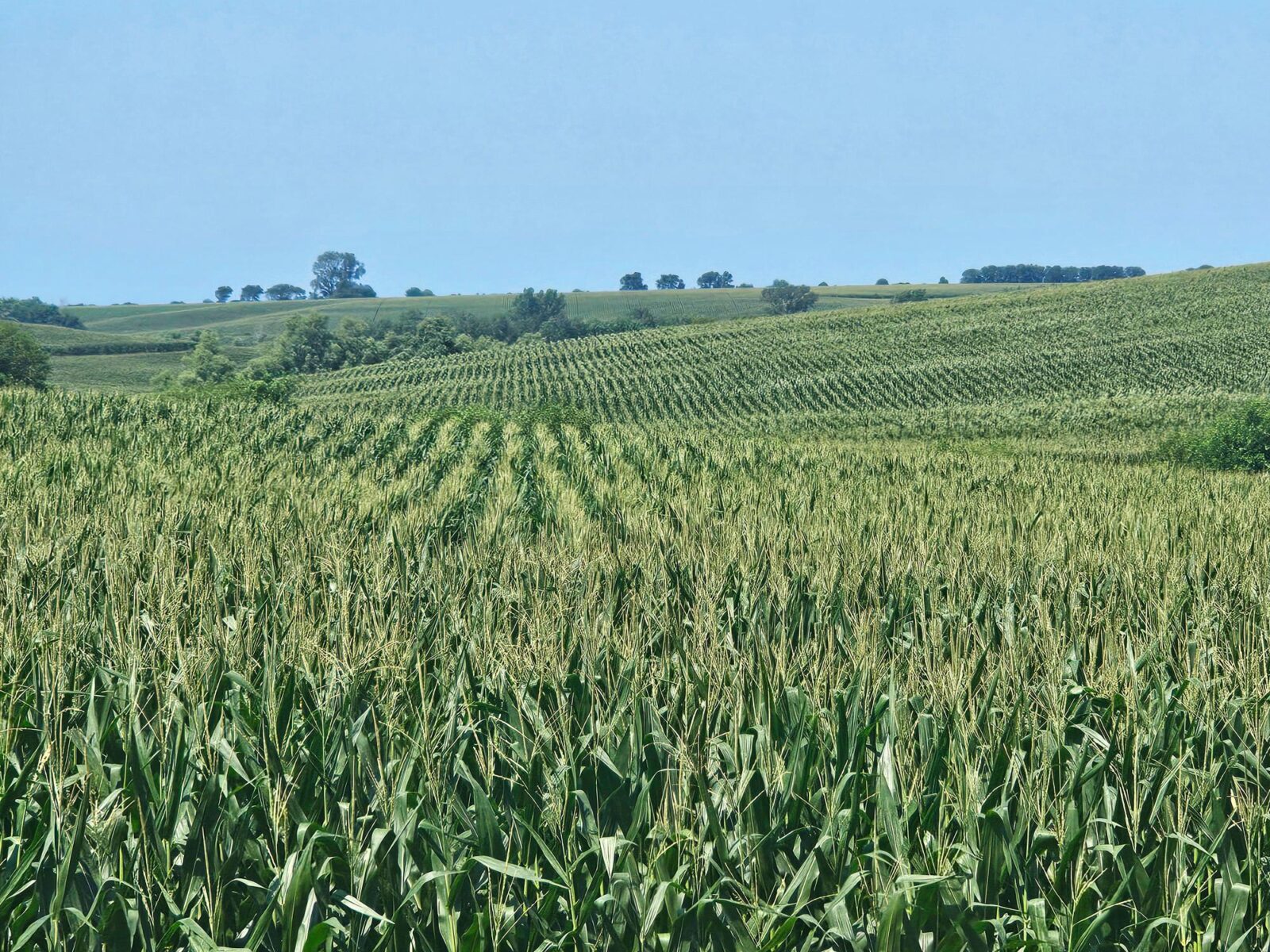 Burt County, Nebraska farm land for sale
